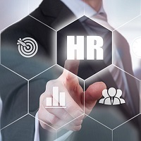 HR Consultant in Noida