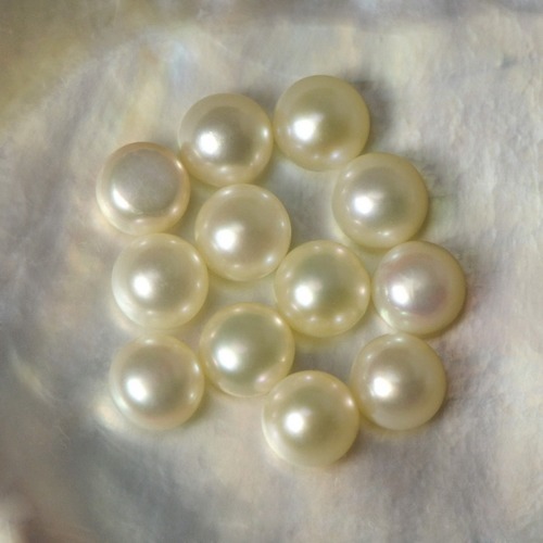 Polished Gems Pearl Button Moti, for Jewellery, Shape : Round