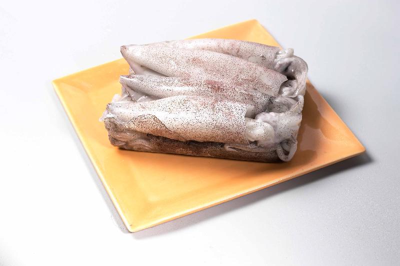 Block Frozen Squid, Feature : Salted Grades