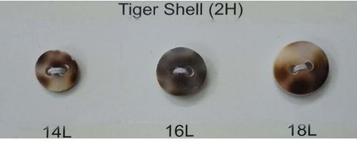 Brown Faded Shell Button