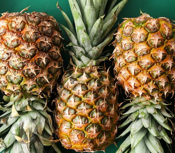Organic Pineapple, for Used to extract fresh juice.