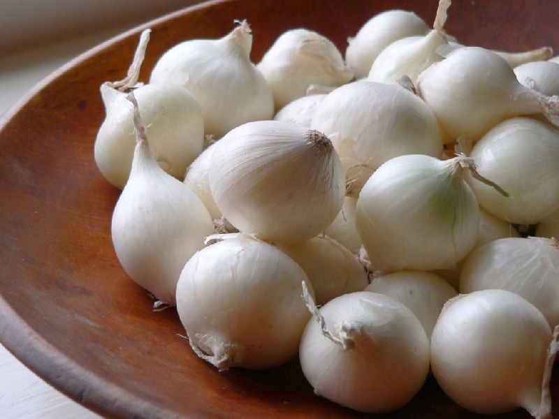 Small White Onion