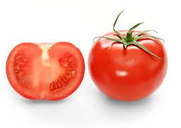 fresh tomato