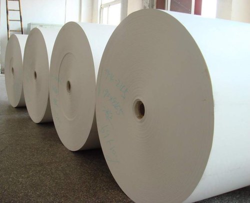 Poly Coated Paper, Color : White