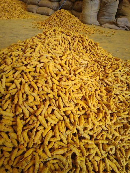 Sun Dried Organic Turmeric 2.5-3%, Certification : FSSAI Certified