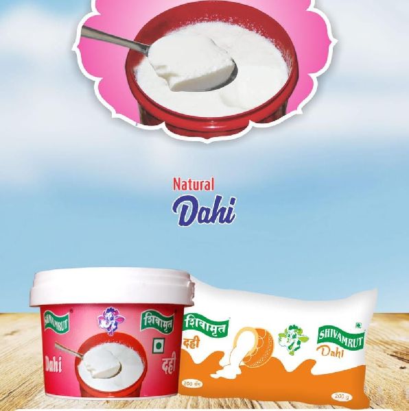 Shivamrut Natural Dahi at Best Price in Solapur | Shanikha ...