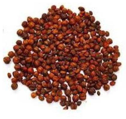 Malkangni Seeds