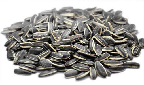 Sunflower seeds, Packaging Type : Plastic Packets, PP Bags
