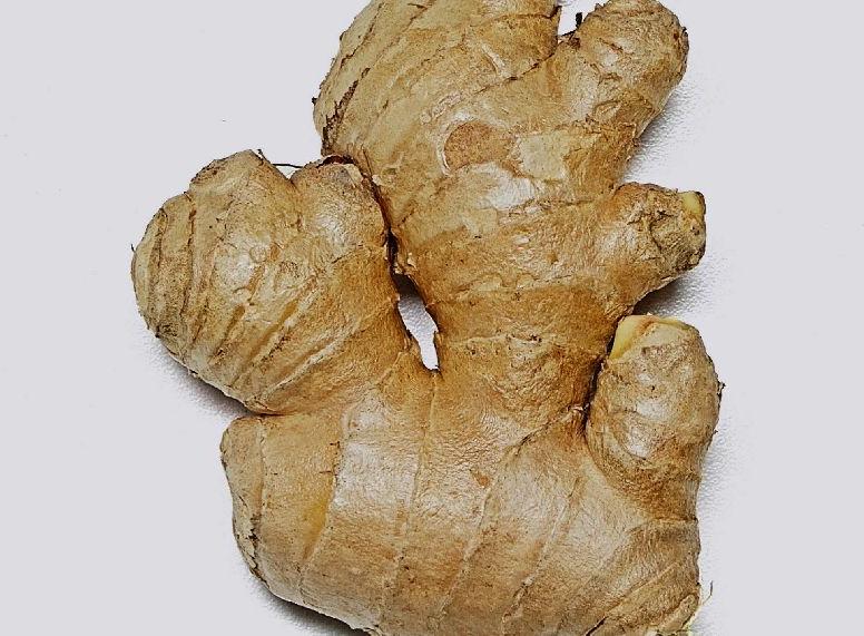 Organic Fresh Ginger, for Cooking, Cosmetic Products, Medicine, Packaging Type : Jute Bags