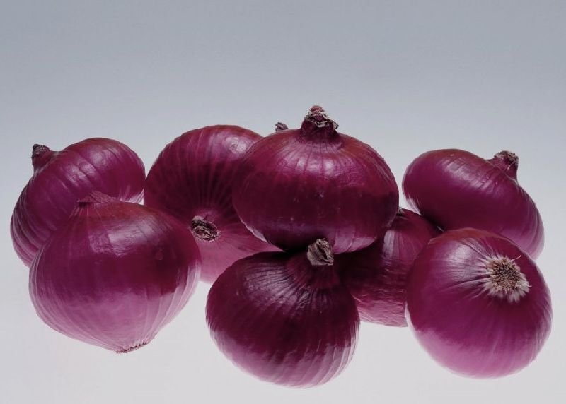 Organic fresh red onion, for Cooking, Human Consumption, Packaging Type : Jute Bags