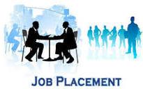 Domestic Placement Services