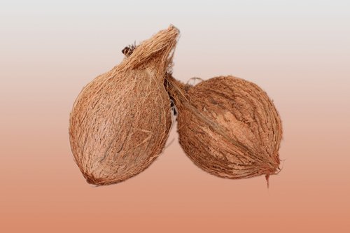 Semi Husked Pooja Coconut, Shelf Life : 50 Days