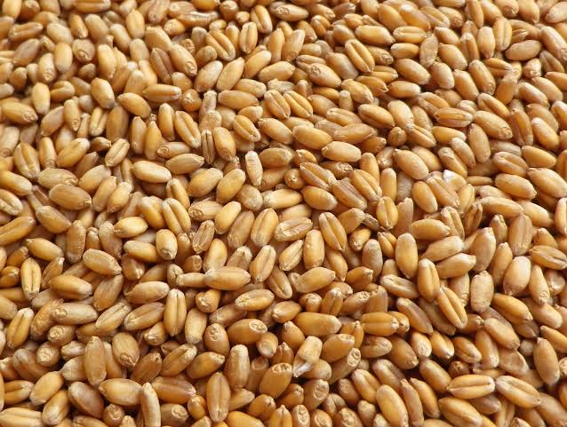 Natural wheat, for Cooking