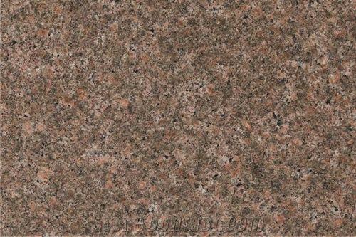 Polished Z Brown Granite, Size : 12x12ft