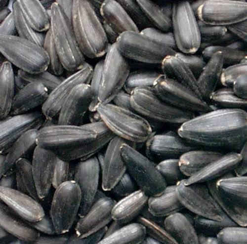 Dried Sunflower Seeds