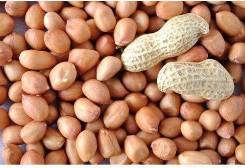 Organic Dried Groundnut Kernels, for Making Oil, Color : Brownish