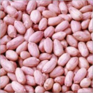 Natural Groundnut Kernels