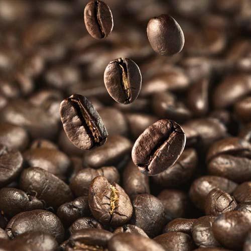 Common Natural Roasted Coffee Beans, for Beverage, Purity : 100%