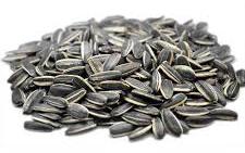 Common sunflower seeds, for Agriculture, Food, Medicinal, Packaging Size : 1kg, 500gm, 50kg