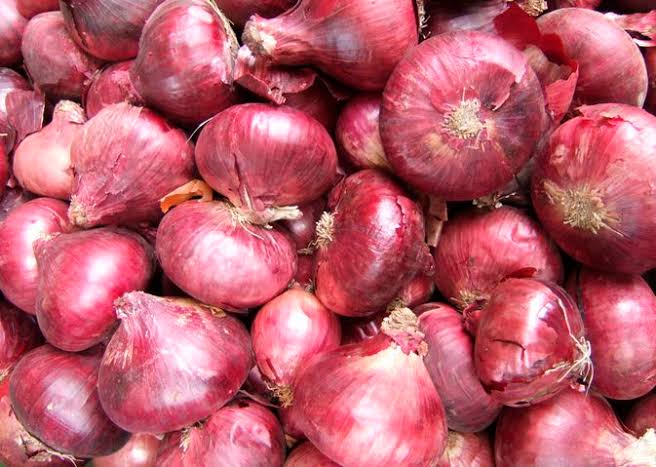 Organic fresh red onion, for Human Consumption, Packaging Size : 100-1000kg