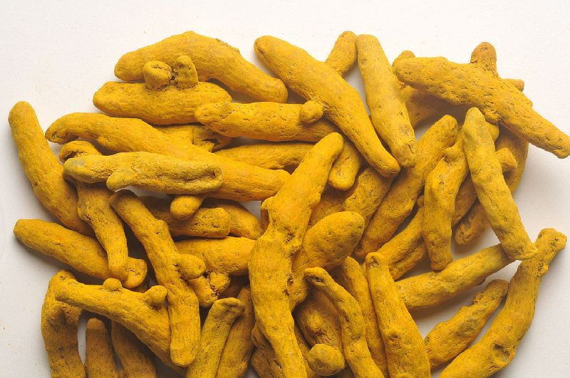 Raw Dried Turmeric Finger, Color : Yellow