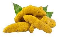 Raw Whole Turmeric Finger, Color : Yellow