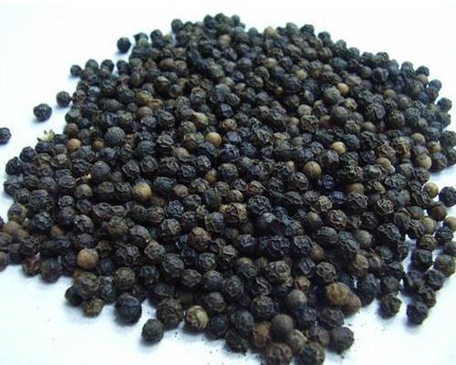Raw black pepper seeds, Packaging Size : 10kg, 20 kg