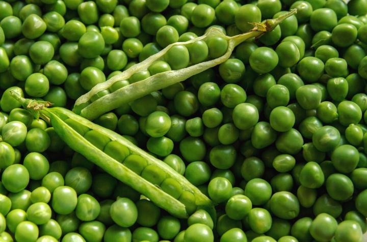Fresh Green Peas, Shelf Life : 5-7Days