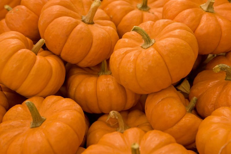 fresh pumpkin