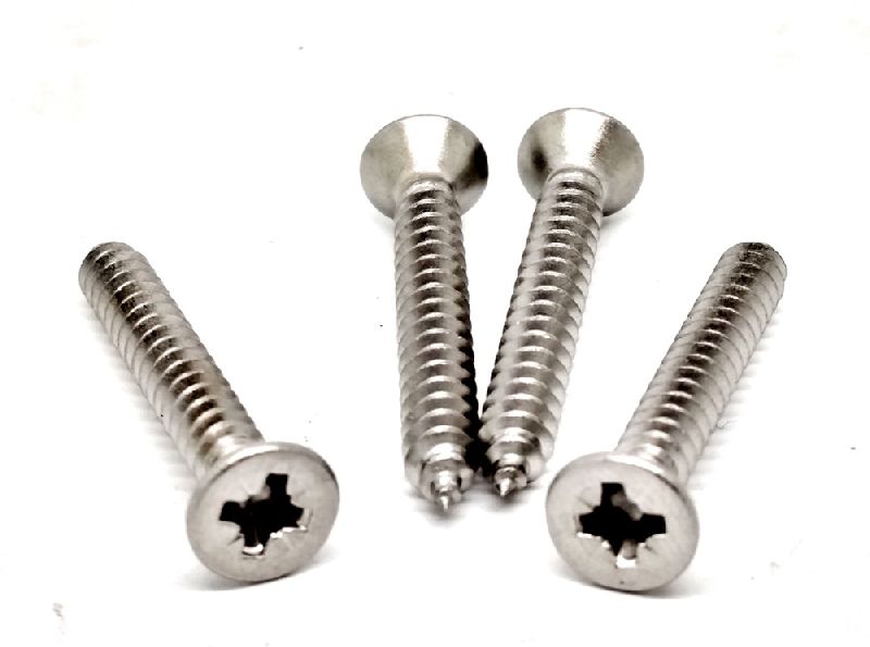 Stainless Steel Screws, for Fittings Use, Feature : Light Weight, Rust Proof