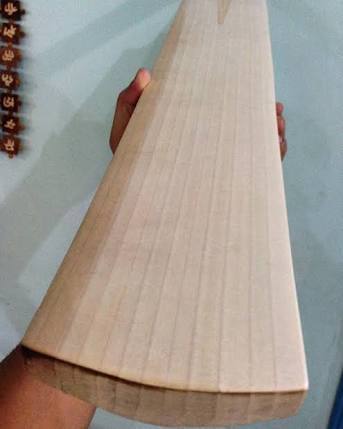 Kc english willow cricket bat
