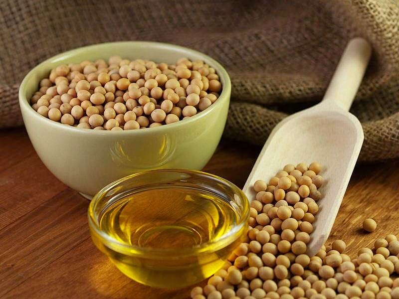 Soybean Seed Oil