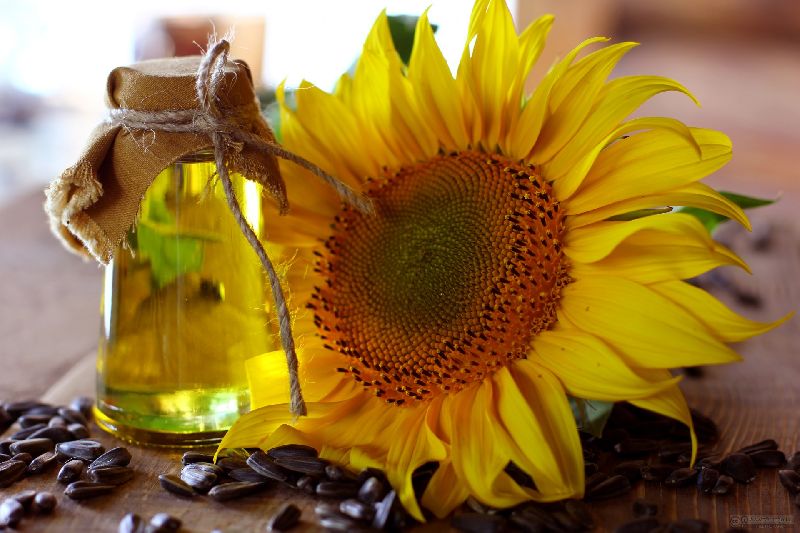 Organic Sunflower Oil, for Eating, Baking, Cooking, Human Consumption, Feature : Antioxidant