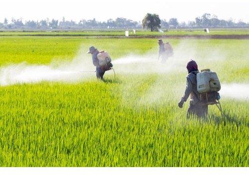 Agriculture Pesticide