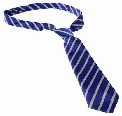 Polyester Stripped School Tie