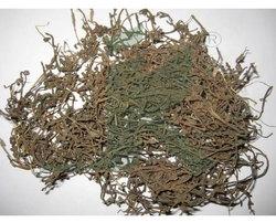 Monnieri Herb