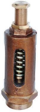 Qinn Bronze Spring Relief Valve