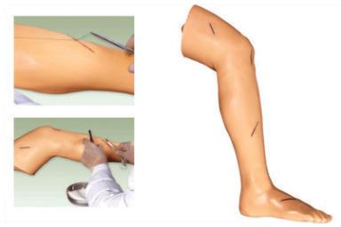 Surgical Suture Leg