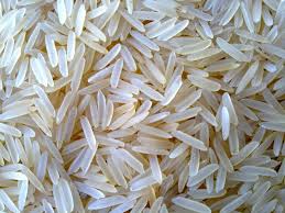 Indian 1121 Super Rice