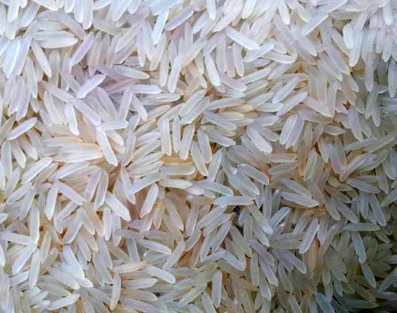 Organic Soft Sharbati Raw Rice, Packaging Type : Gunny Bags, Jute Bags, Plastic Bags