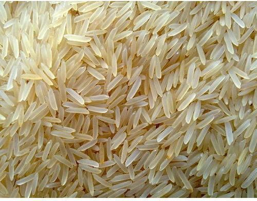 Sugandha Golden Rice