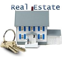 Real Estate Consultant