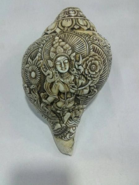 Green Tara Conch Shell