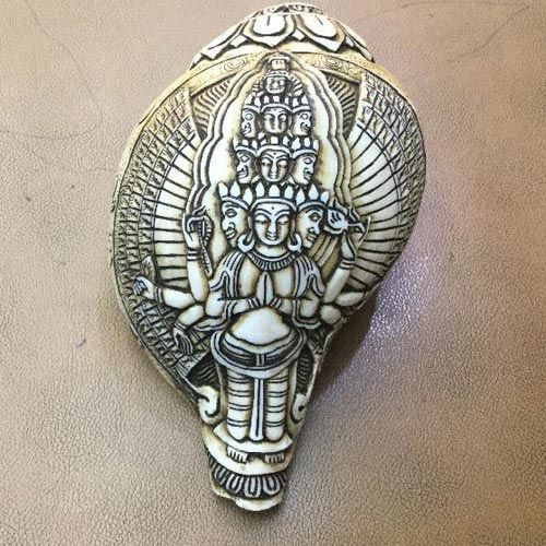Religious Conch Shell ( Shanka)