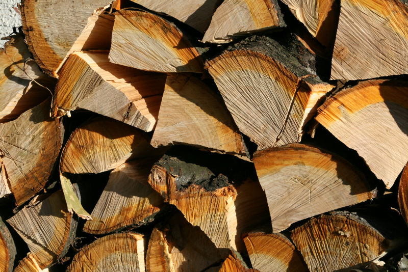 Seasoned Pine Wood