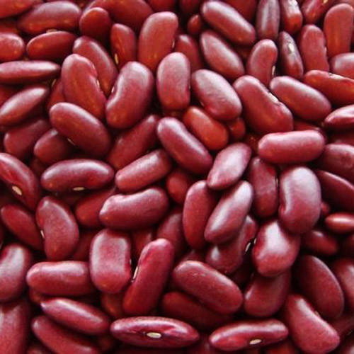 Organic Red Kidney Beans, Shelf Life : 2Years