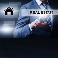 Real Estate Consultant