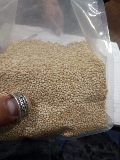 Conventional Quinoa Seed, Style : Dried