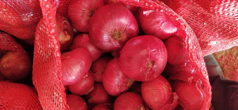 Natural fresh red onion, Size : Large, Medium, Packaging Type : Jute Bags,  Net Bags at Rs 10 / Kilogram in Surat