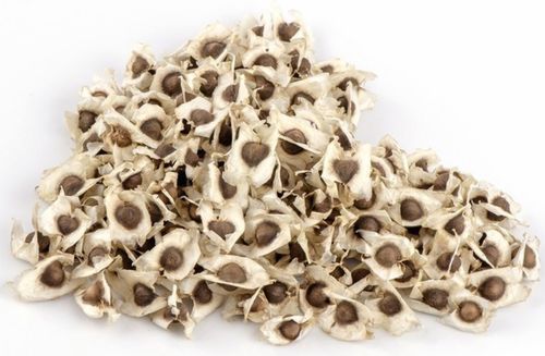 Common Moringa Seeds, for Cosmetic, Packaging Type : Plastic Bags
